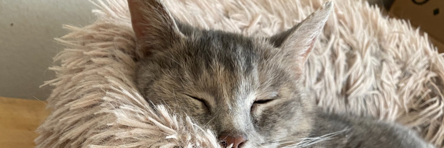 Brian Ibbotson banner