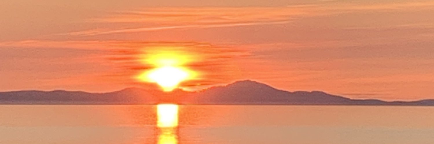 rustnico's profile banner image