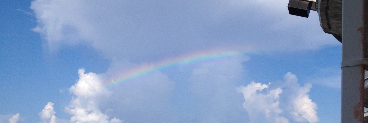 shelmatt's profile banner image