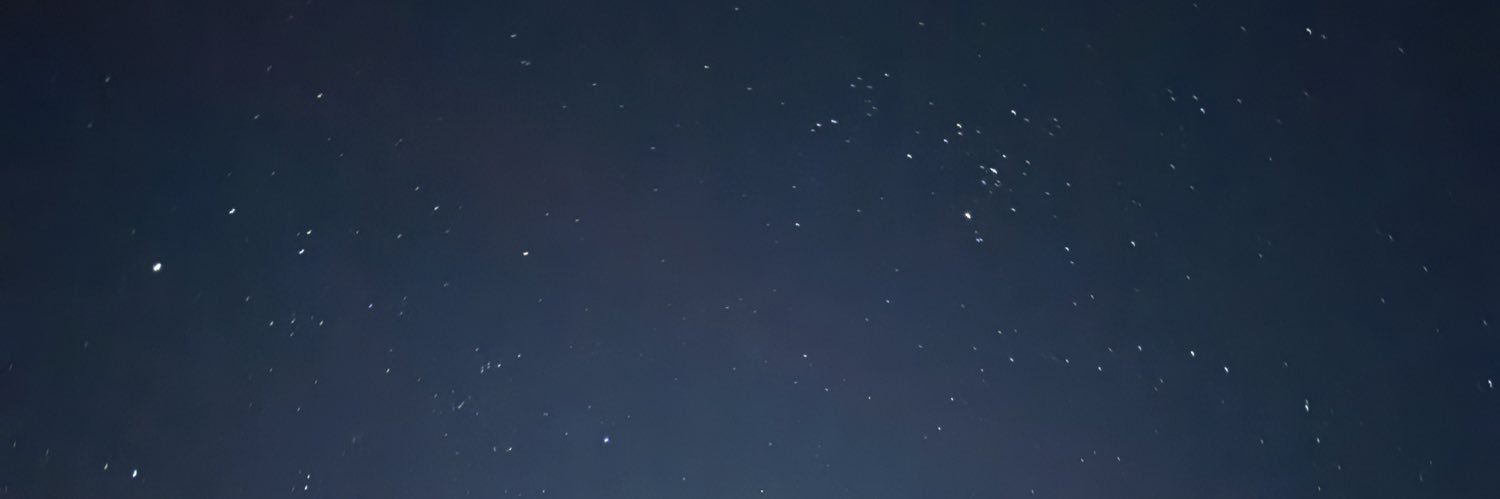 leilanyvb's profile banner image