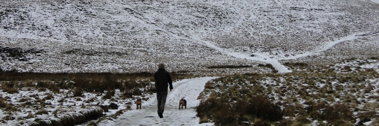 rossmhenderson's profile banner image
