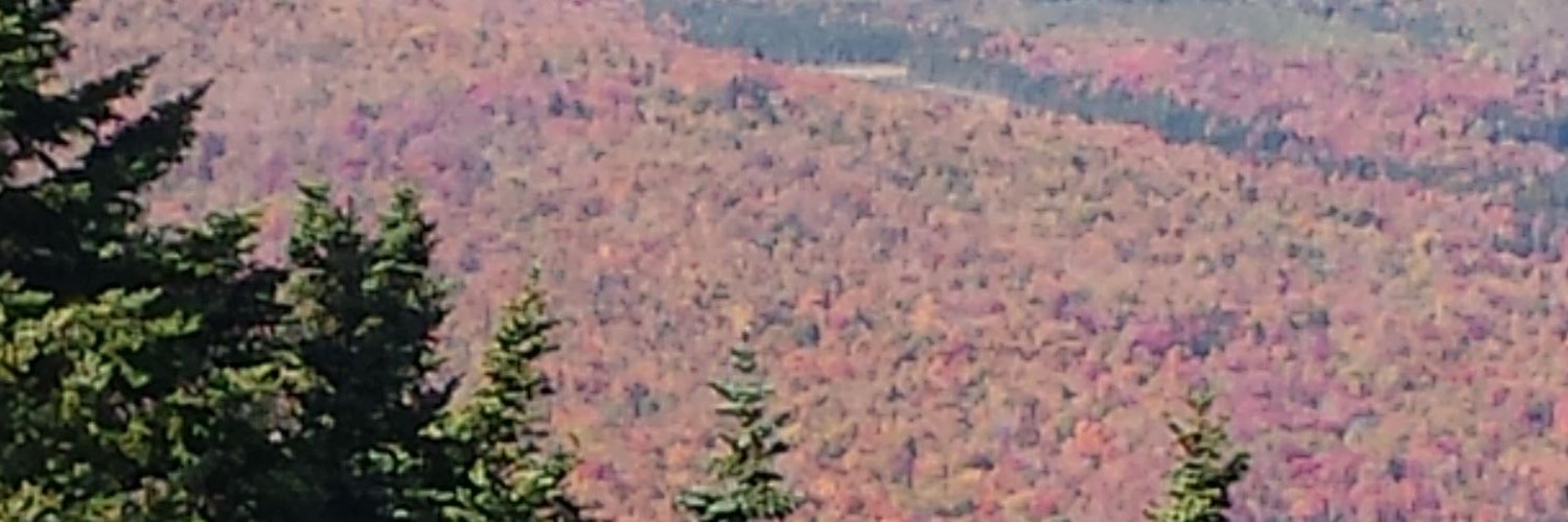 Jennifer Frasca banner