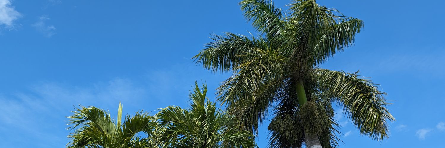 AmyKissinger's profile banner image