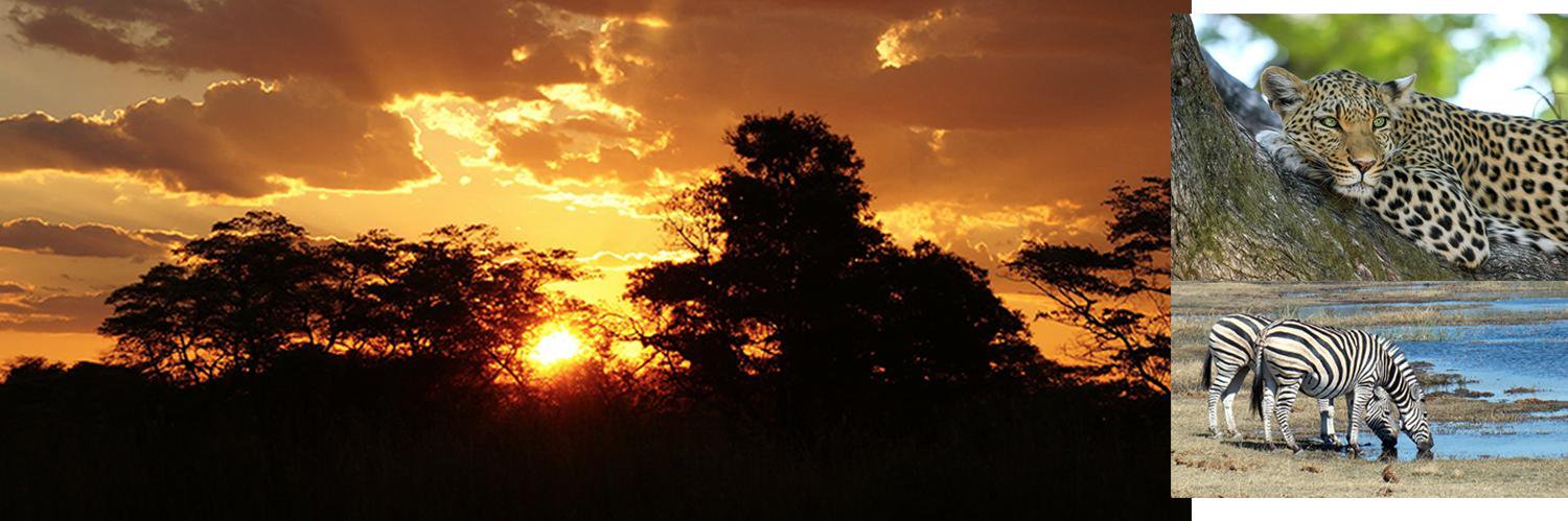 WorldOfBotswana's profile banner image