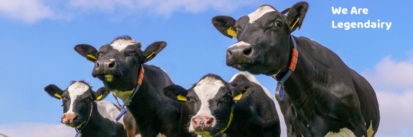 dairy_alliance Profile Banner