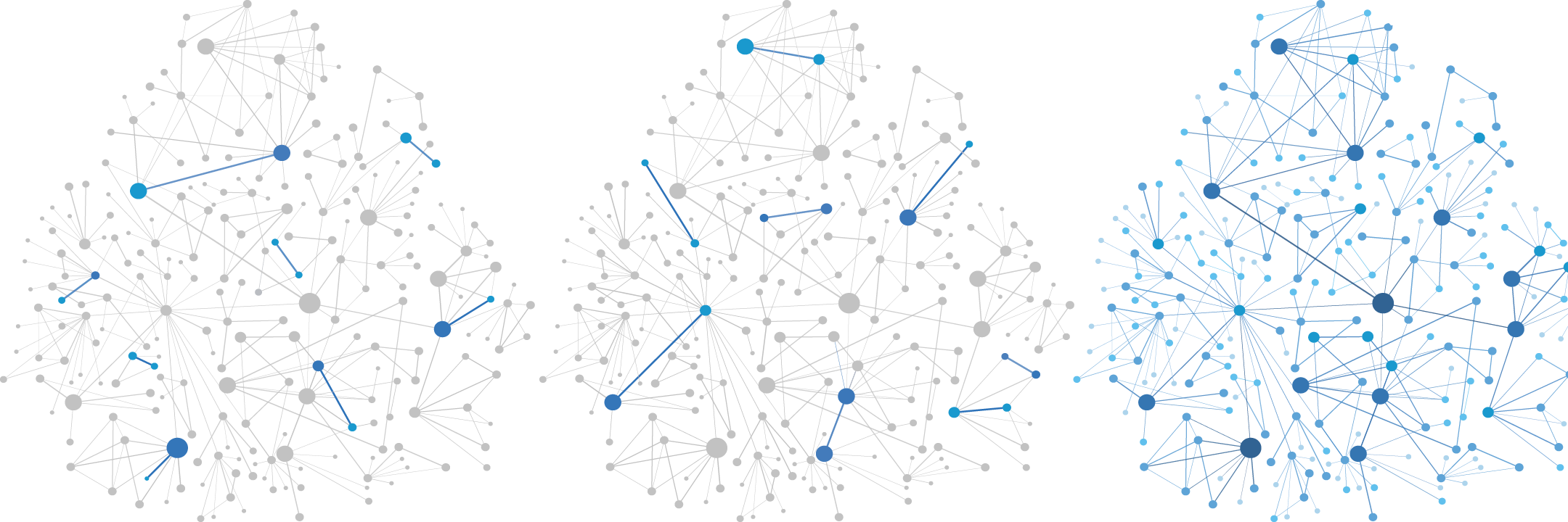 NetScience's banner