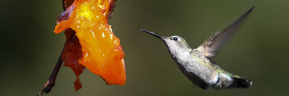 towahead's profile banner image