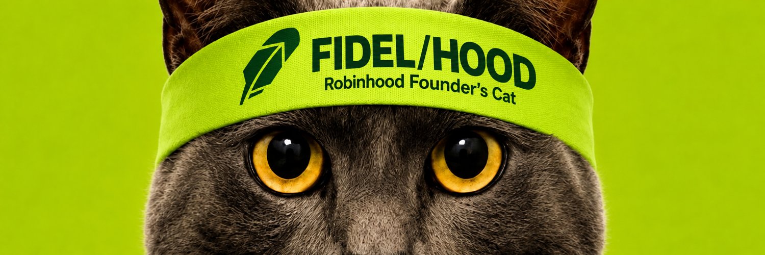FidelHOOD_Meme's profile banner image