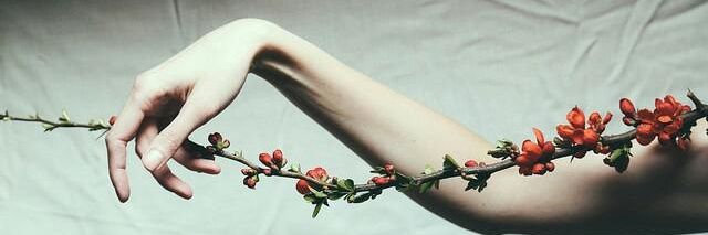 _nought__'s profile banner image
