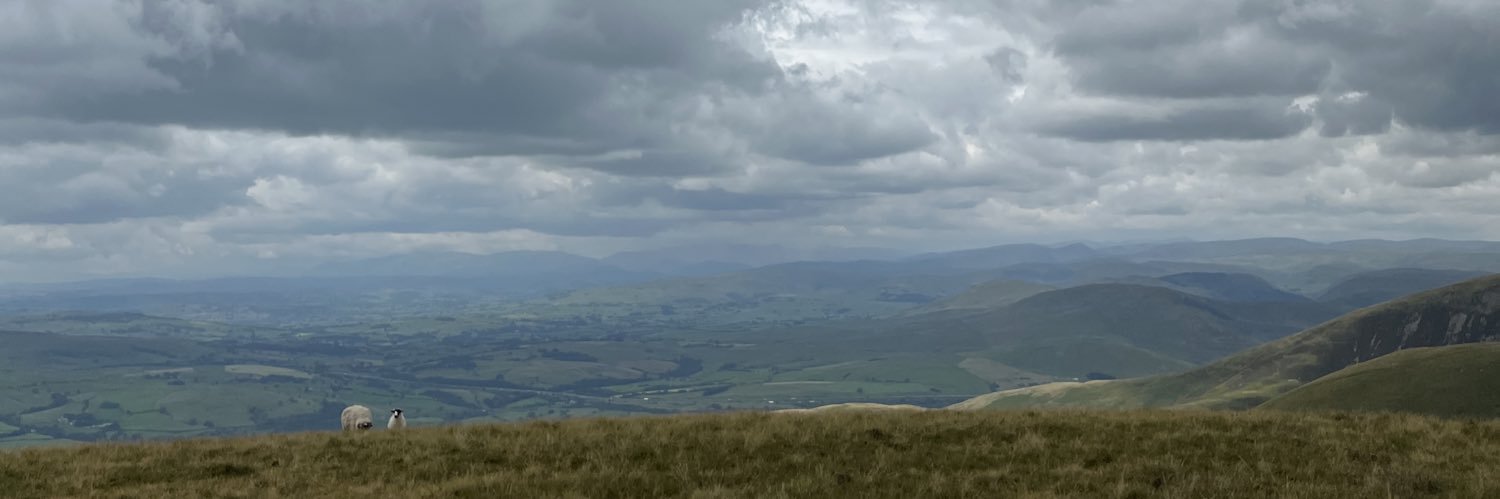 Eleanor Street banner