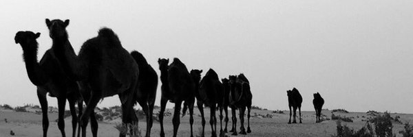 GumaanShaqee's profile banner image