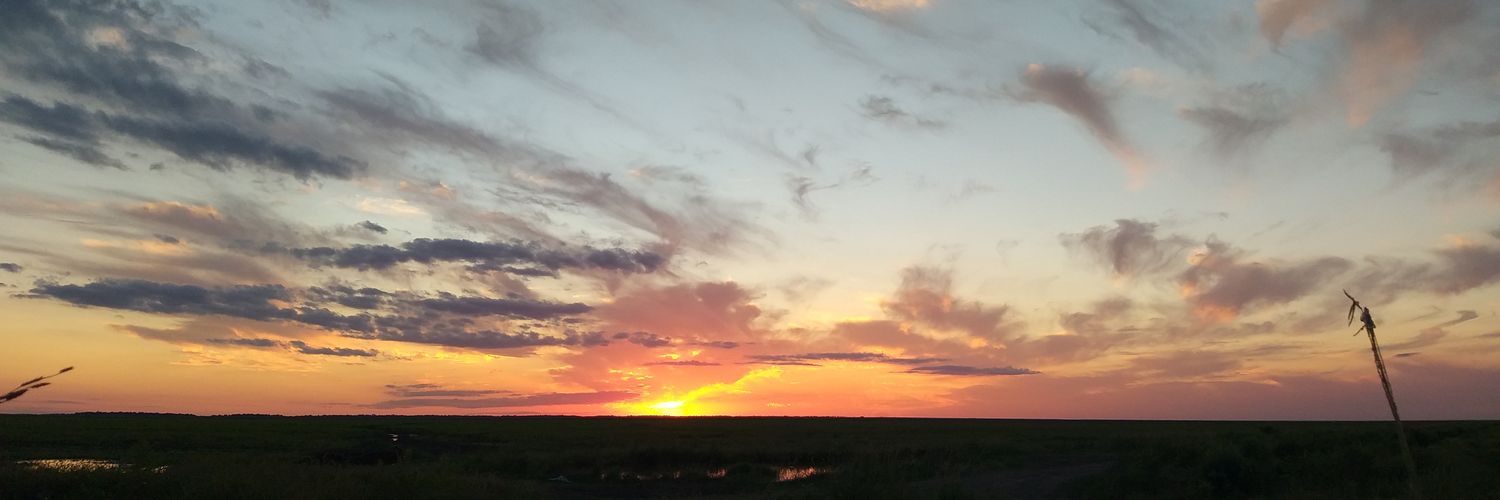 sosadidi99's profile banner image