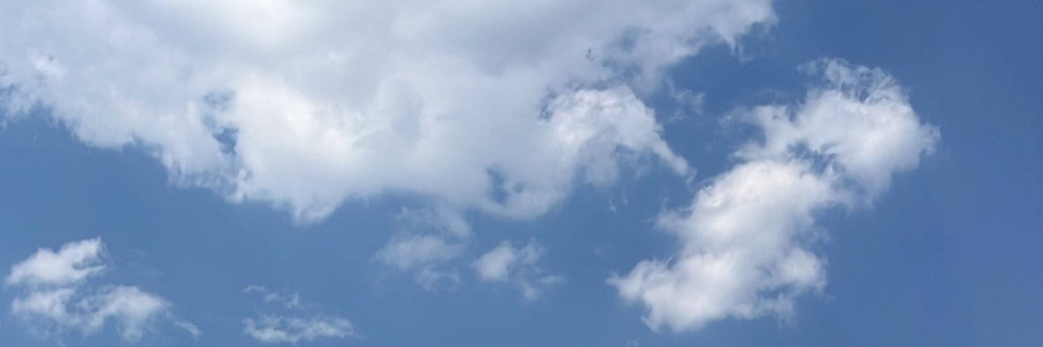 mtzarline's profile banner image