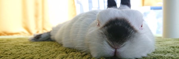 usadama Profile Banner