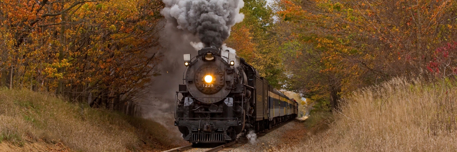 MattReine's profile banner image