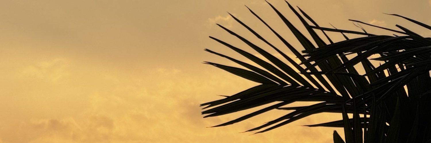 MuyChimbita's profile banner image