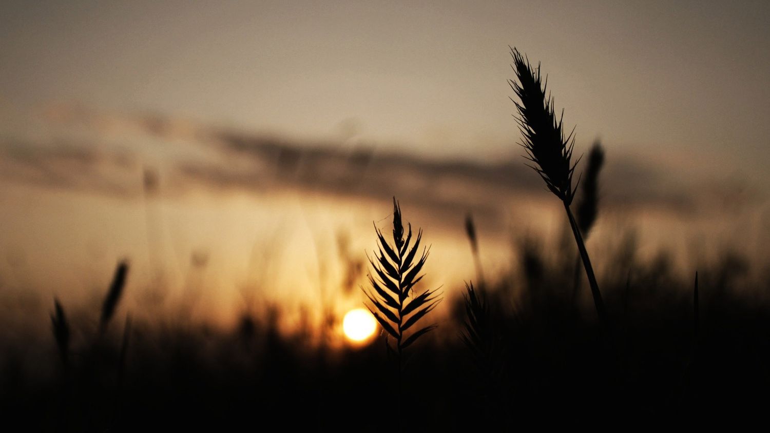 dwest12387's profile banner image