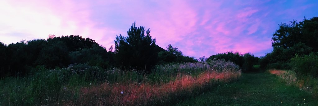 monicaroams's profile banner image