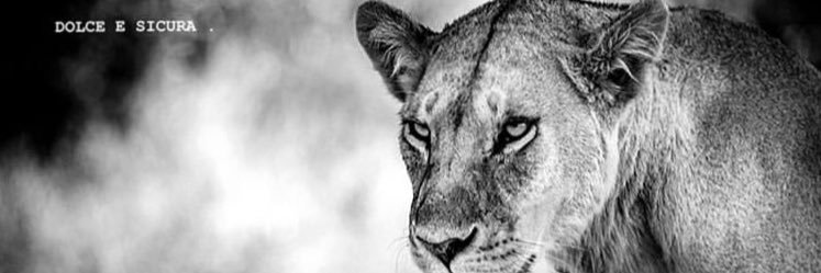 lucreziacar's profile banner image