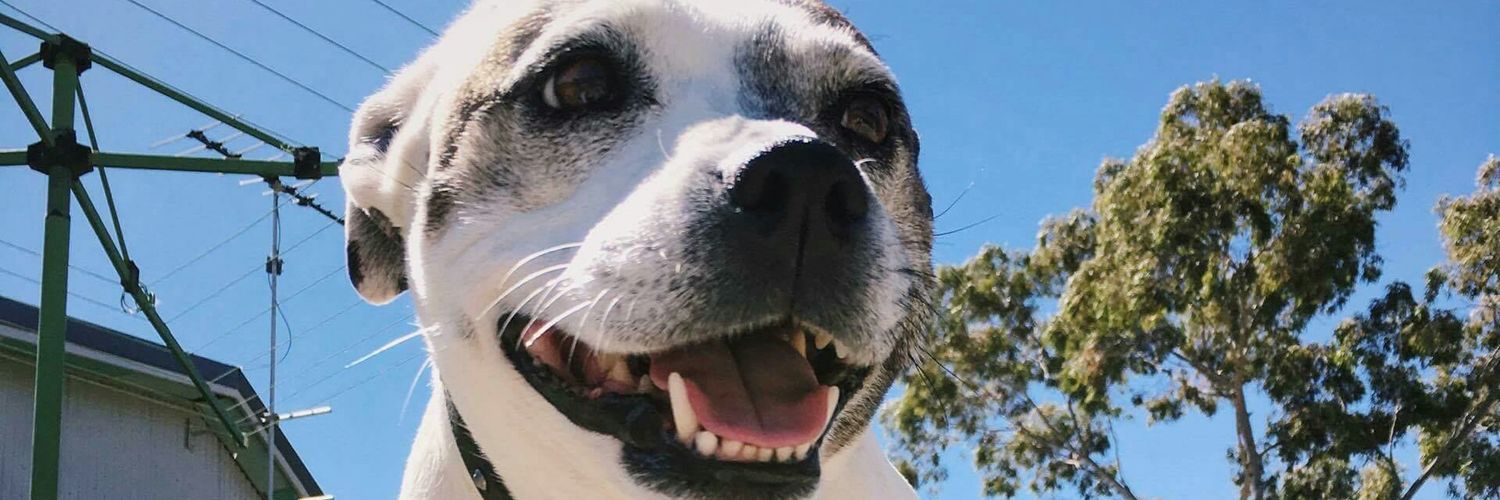 ratherbebaked's profile banner image
