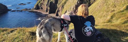 Cyndra1995's profile banner image