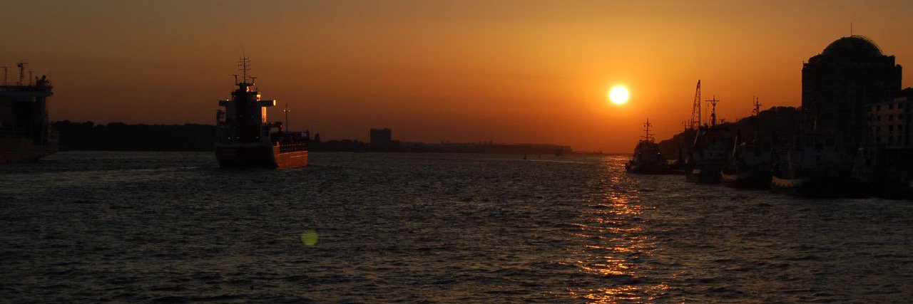 Oliver Steiner banner