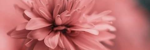 sanja_lica7's profile banner image