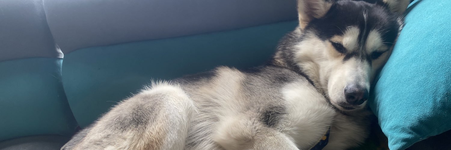 _tianaa2's profile banner image