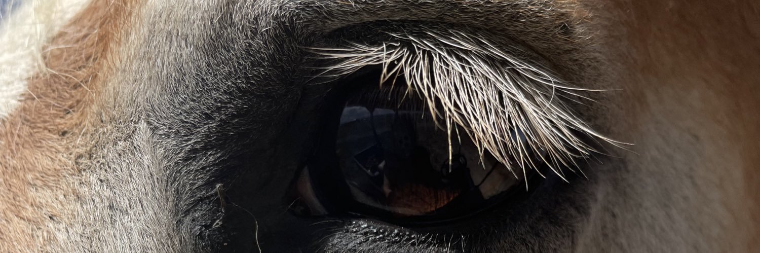 KKSWANEY's profile banner image