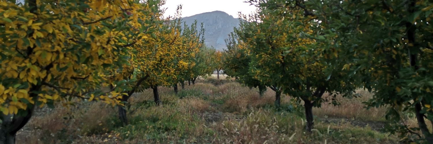 AA2144's profile banner image