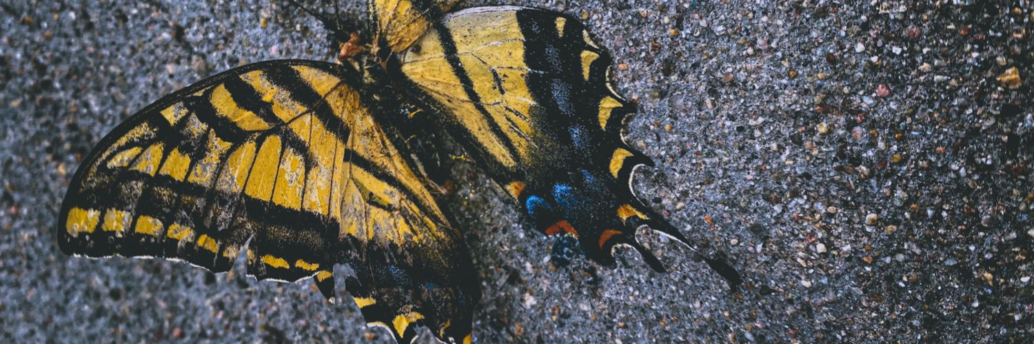 natsmarr's profile banner image