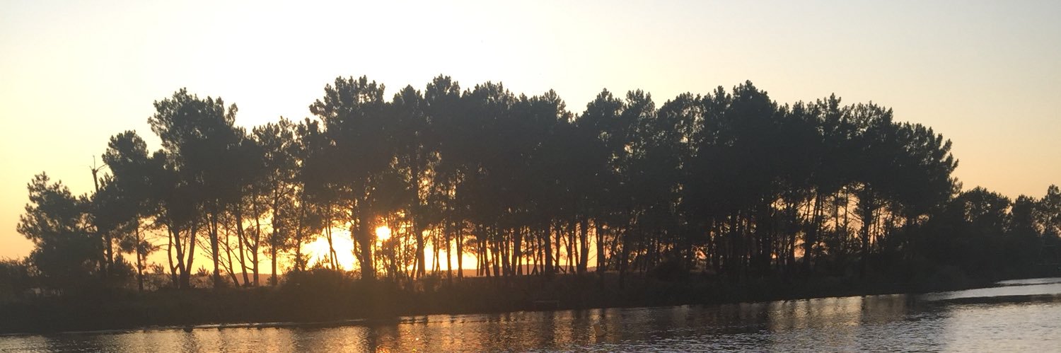 Juvasr's profile banner image