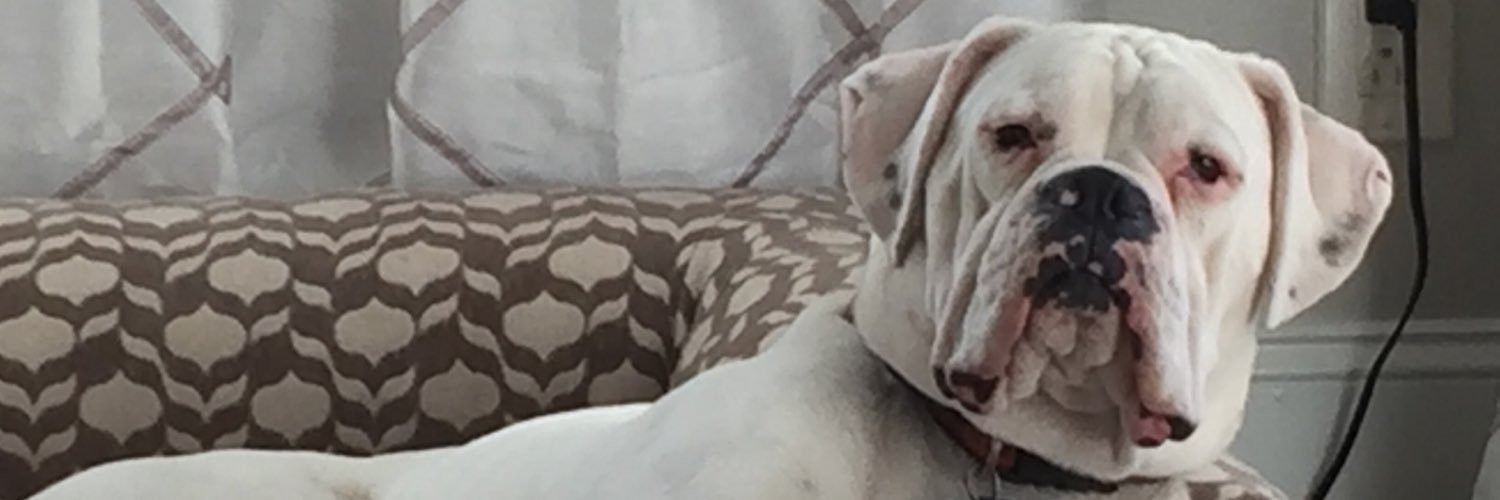 trippharris's profile banner image