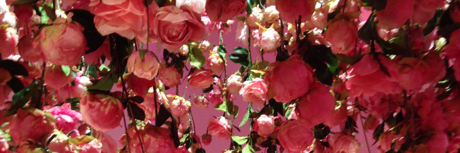 donnafitzpatric's profile banner image