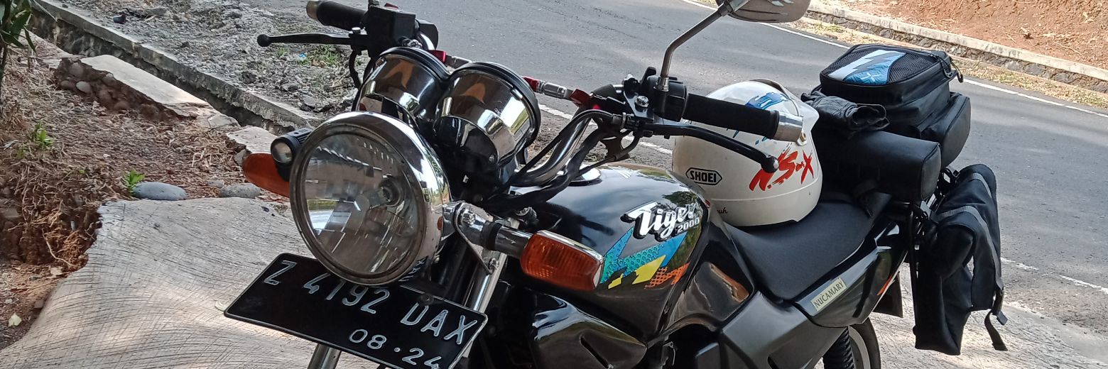 TheaApey's profile banner image