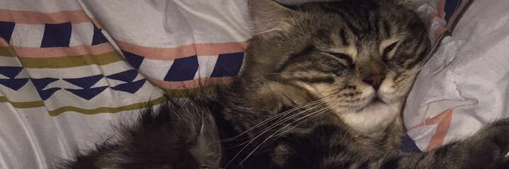 𝙳𝚘𝚖𝚎́𝚗𝚒𝚌𝚊 𝙶𝚊𝚛𝚌𝚎́𝚜 🌞 banner