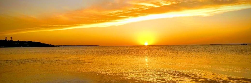 gabysanchez07's profile banner image