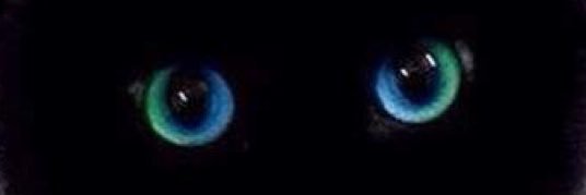 ChrisAcv2's profile banner image