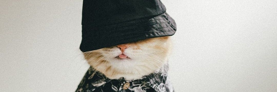 🖤🩷 banner