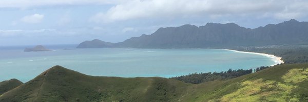 datwoodz Profile Banner