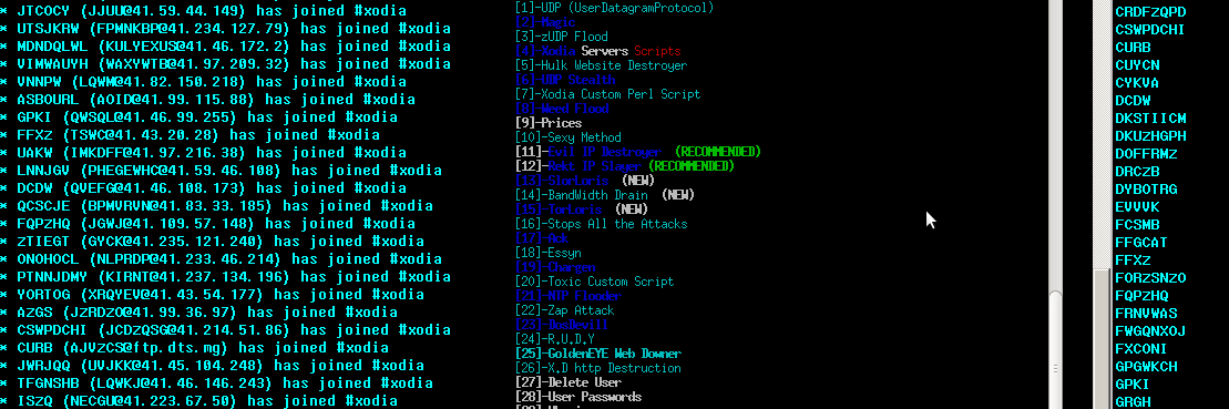 XodiaData's profile banner image