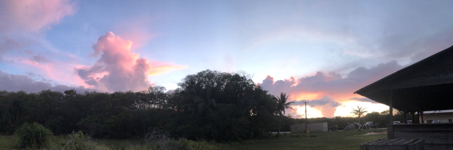 crazy_anus's profile banner image