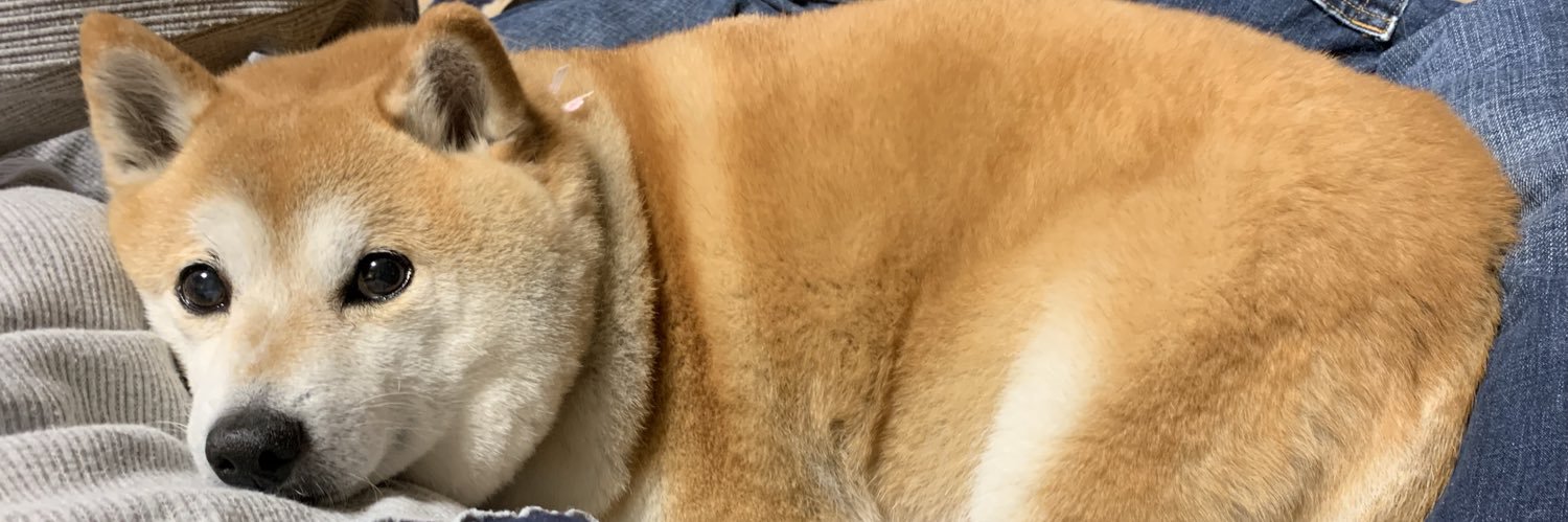 Travis 愛犬みるく banner