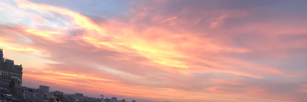 Alexis_Pinzon's profile banner image