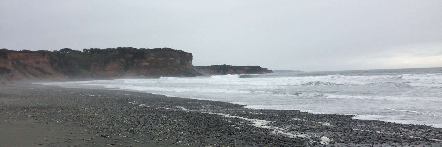 dani guerrero bu banner