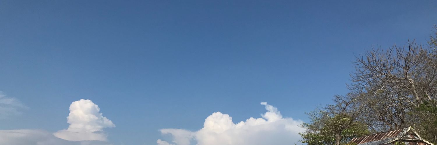 prmitsky's profile banner image
