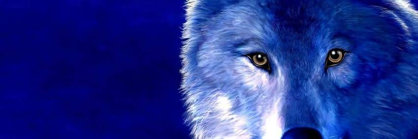 Nick1Wolf's profile banner image