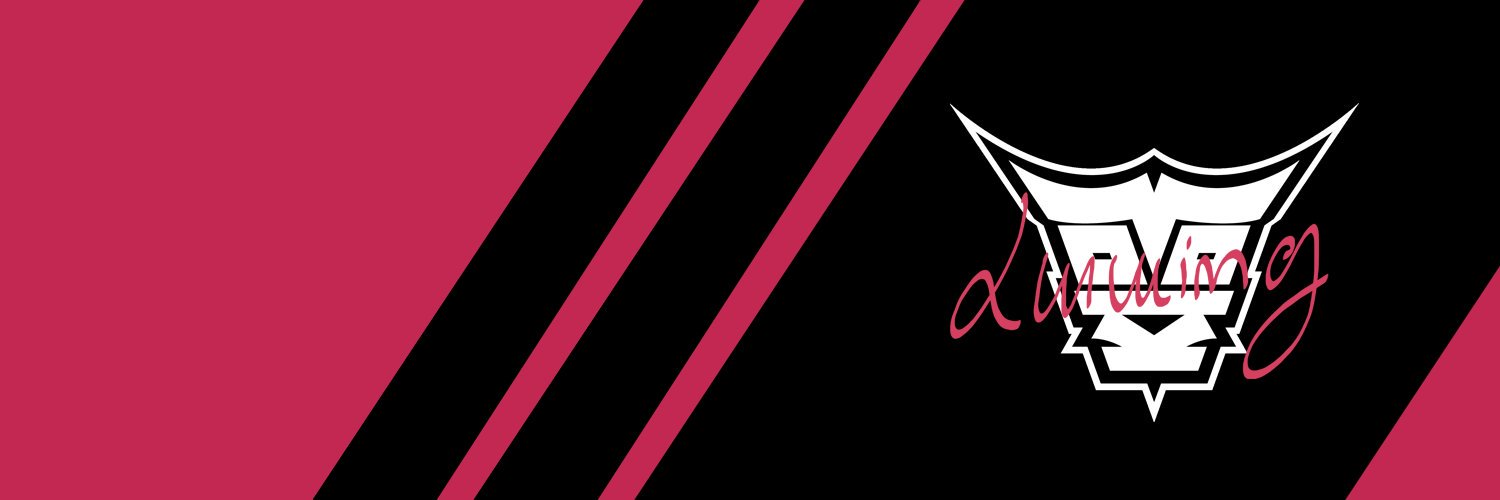 Lurwing's profile banner image