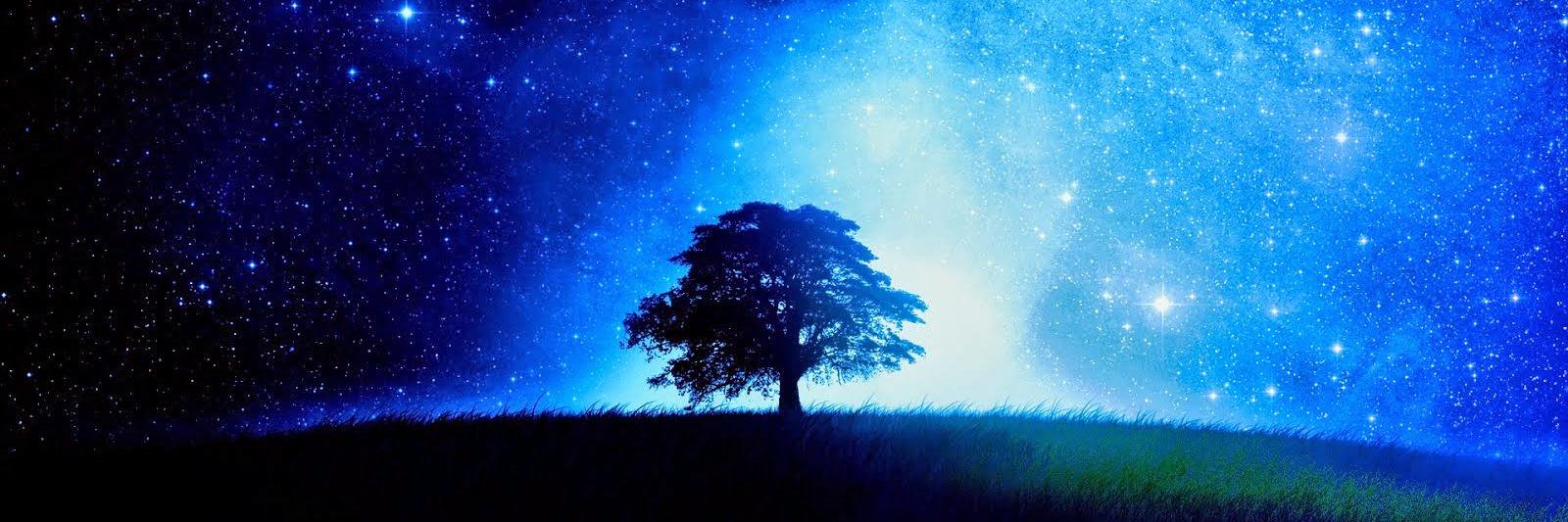 treethe_world's profile banner image