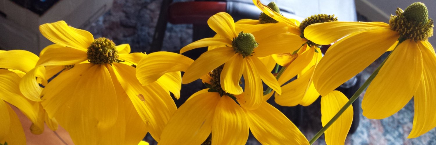 ArtistDCrawford's profile banner image